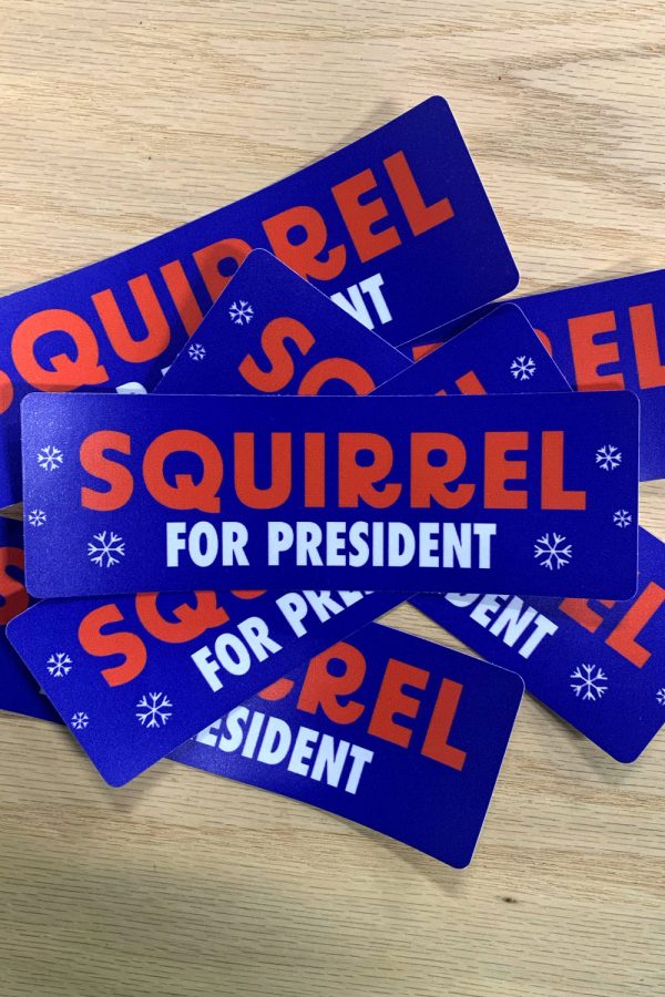 Squirrel For President Sticker
