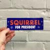 Squirrel For President Sticker
